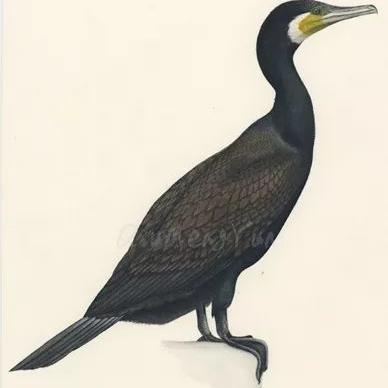 桂林市别名是什么