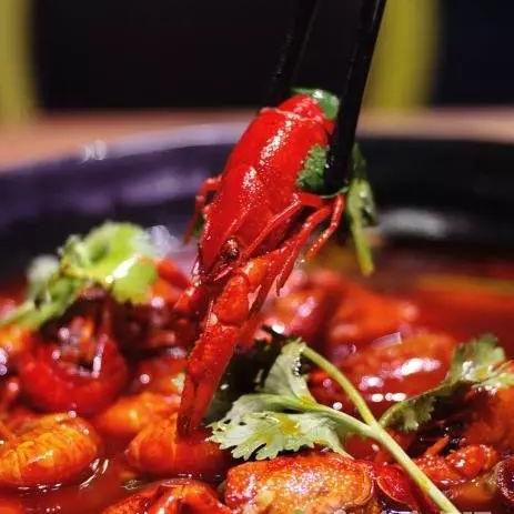 济南常见的鸟有哪些？