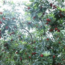 长沙便装相关长尾关键词有哪些