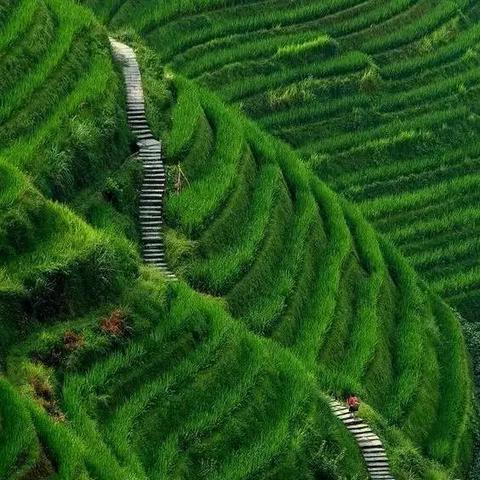 南宁到龙脊梯田攻略的相关长尾关键词有哪些