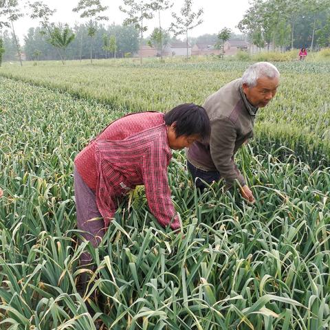 生活帮是天津哪个栏目