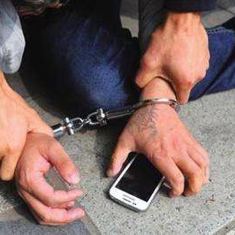 保定市户籍目前多少人了