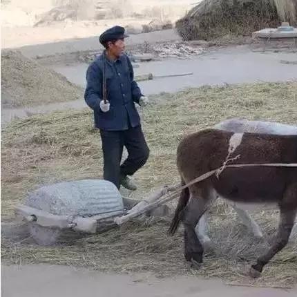 河南变蛋怎么样