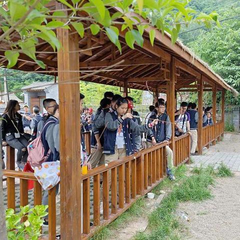 重庆八中宏帆怎么样