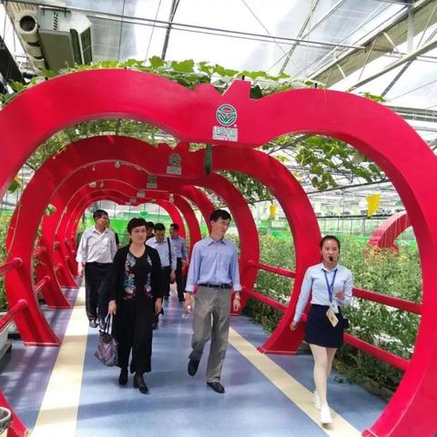 潍坊市锦绣学校所有老师的长尾关键词有什么