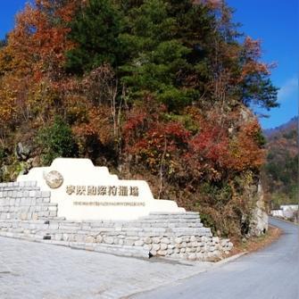 保定市竹林书院地址的长尾关键词有什么