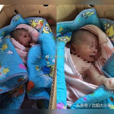 沈阳市蚂蚁搬家怎么样