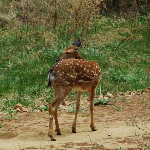 后今迁都沈阳相关长尾关键词有哪些