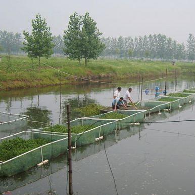 河南省养殖企业的相关长尾关键词有哪些