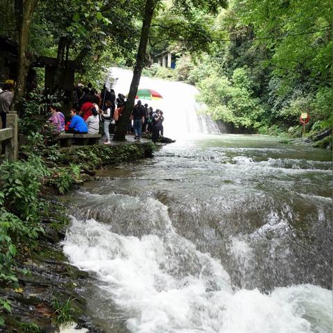 桂林市k96路公交车多久一趟