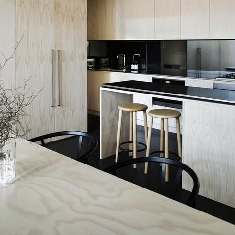 合肥市王什么花