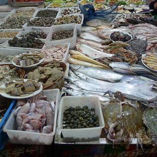 宁波市为什么那么富有