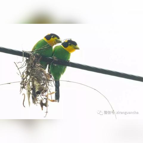 微商相册上图慢怎么回事的长尾关键词有哪些