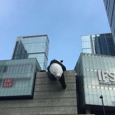 成都市有哪些景点好玩