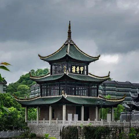 成都市内梧桐叶哪里看