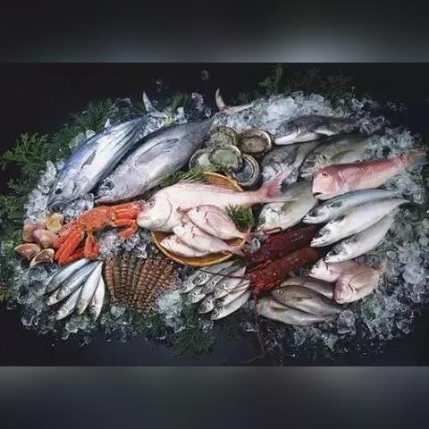 哈尔滨市的海鲜哪里便宜