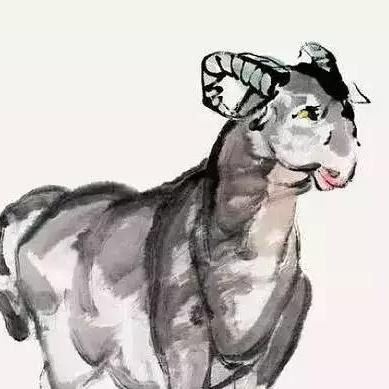 十二生肖桃花运势方位(十二生肖的桃花位在哪方)