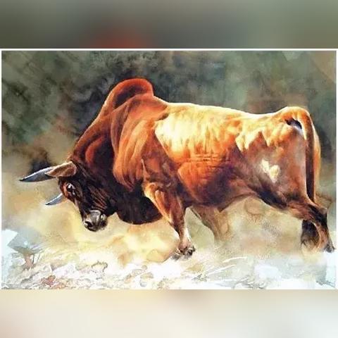 在线找正缘？先来看看你们的年龄合不合