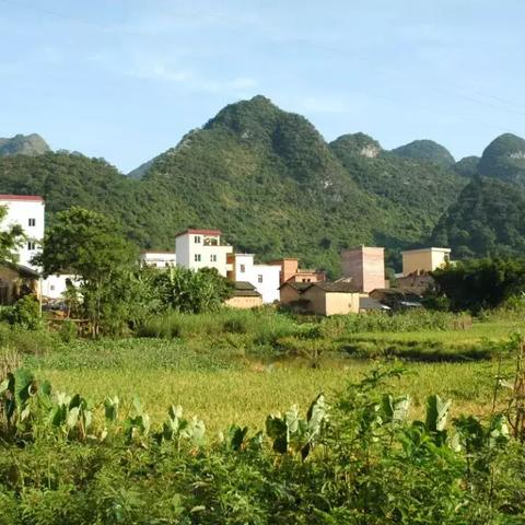 桂林页岩矿相关长尾关键词有哪些