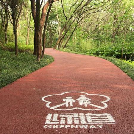 宁波市房子摇号哪个网站