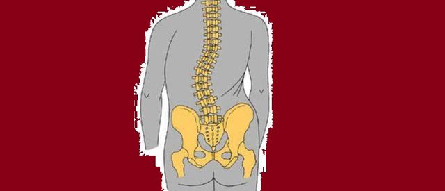 宝宝脊柱成型的关键时期有哪些 宝宝脊柱成型的关键时期有哪些