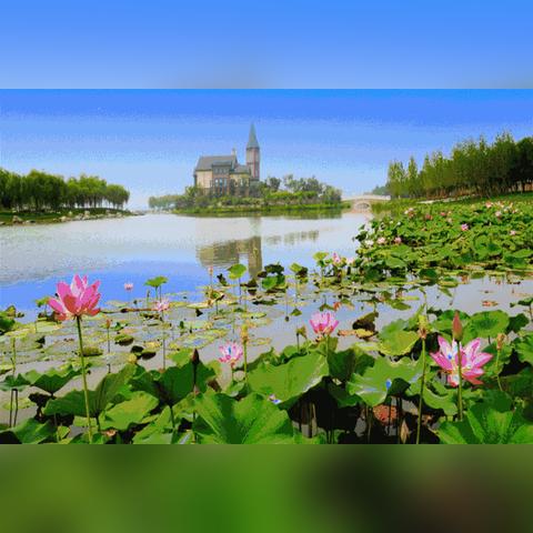 天津哪个市区人少