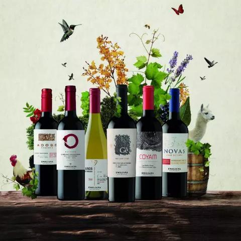 石家庄市哪里有卖葡萄酒