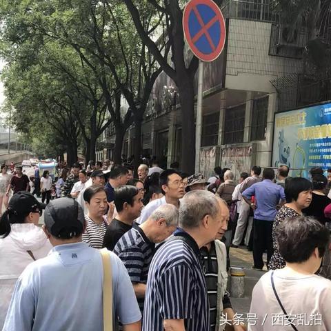 2025.11.9西安今日最新油价查询