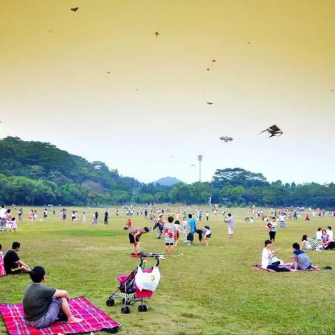 深圳市小学六一班怎么样