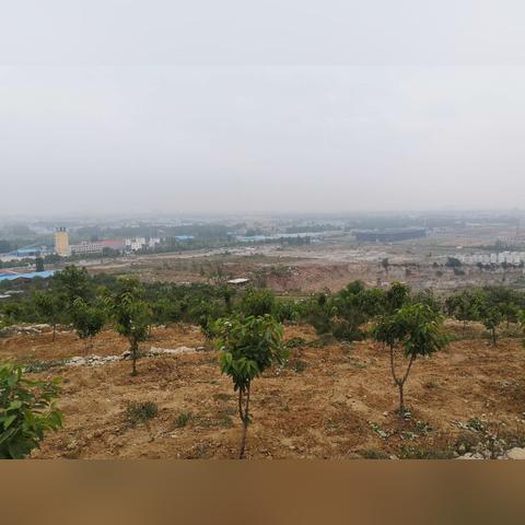 临沂市兰山区钓鱼者的长尾关键词有哪些