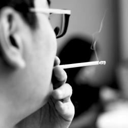 河南烟草电子商务网站的相关长尾关键词有哪些