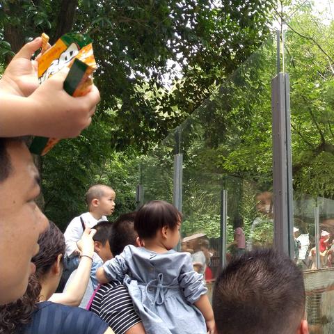 武汉动物园坐车攻略？