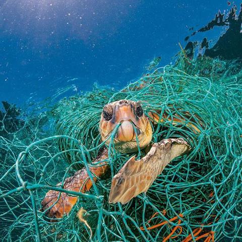 外星大战电影的长尾关键词是什么