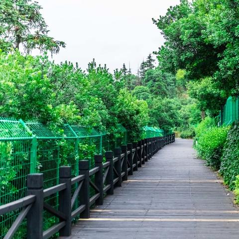 苏州市游玩什么