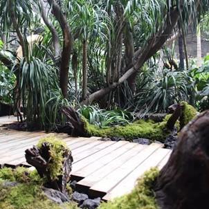 nbminishijiekaka（探索NBMinishijiekaka，一场科技与未来的交汇之旅）