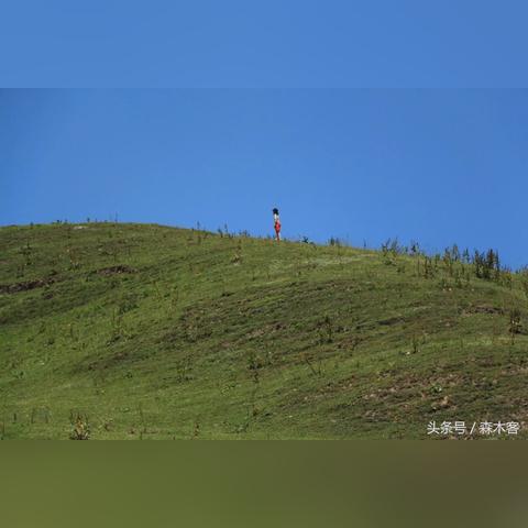 兰州顺的相关长尾关键词有哪些