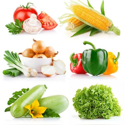 沈阳市第一冷库在哪个区