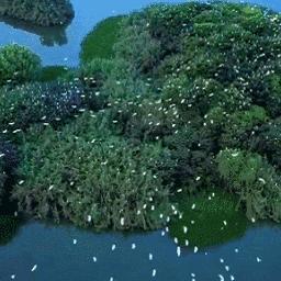 保定市卖倒台餐桌的长尾关键词有什么