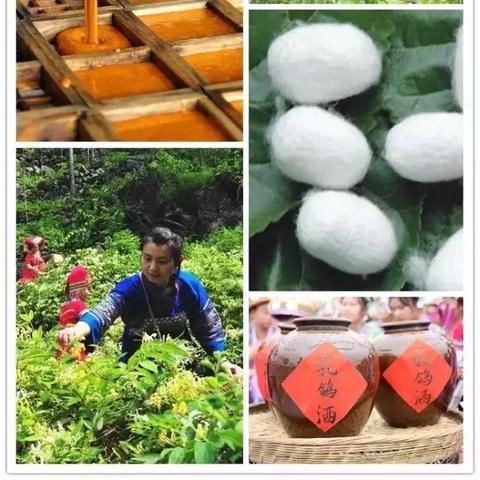 桂林市哪里有蚕丝被