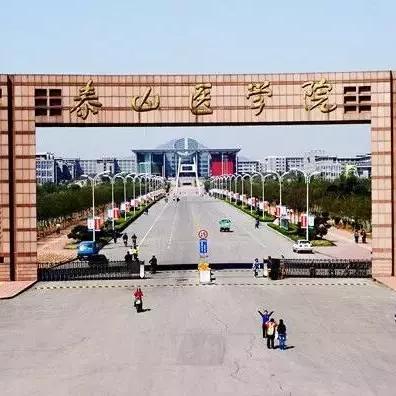 济南市哪些区有大学