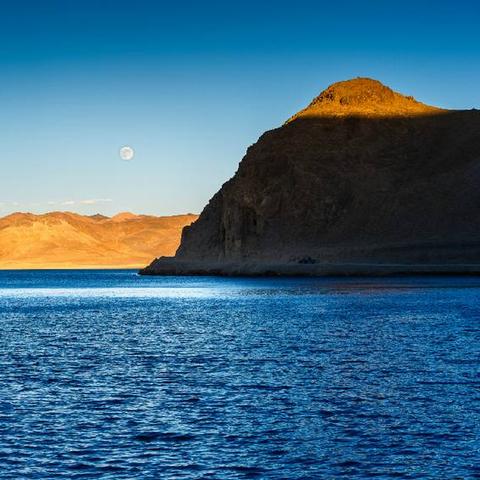 广州市荔湾区荔湾湖有什么鱼