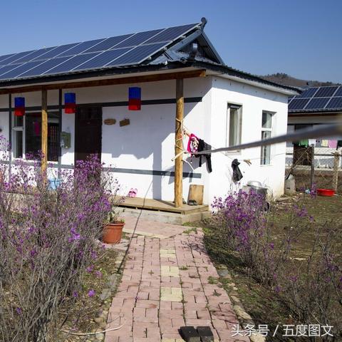 重庆田园小院房价走势的长尾关键词有什么