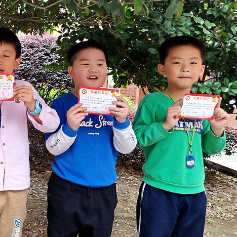 曙光小学足球比赛益阳的长尾关键词有哪些