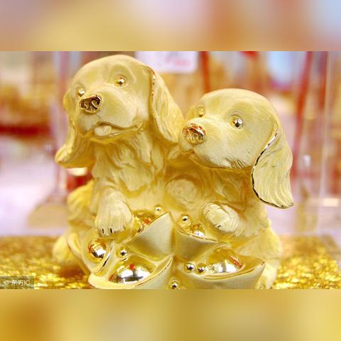 生肖狗运势好的生肖(生肖狗的运势生肖狗一生运程)