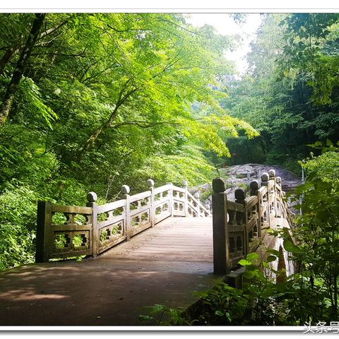 西安朱雀森林公园攻略的相关长尾关键词有哪些