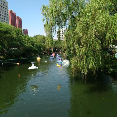 沈阳市南湖宾馆在哪个区