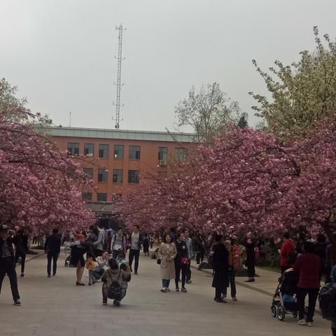 合肥市科大是哪个区