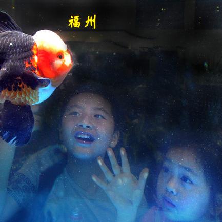 菏泽市牡丹区人才中心的长尾关键词有什么