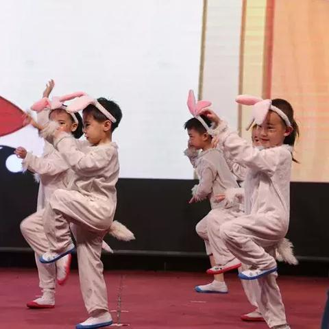 保定市满城区大兔子多少钱