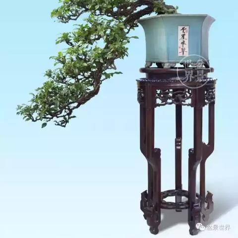 福建风湿医院哪个好